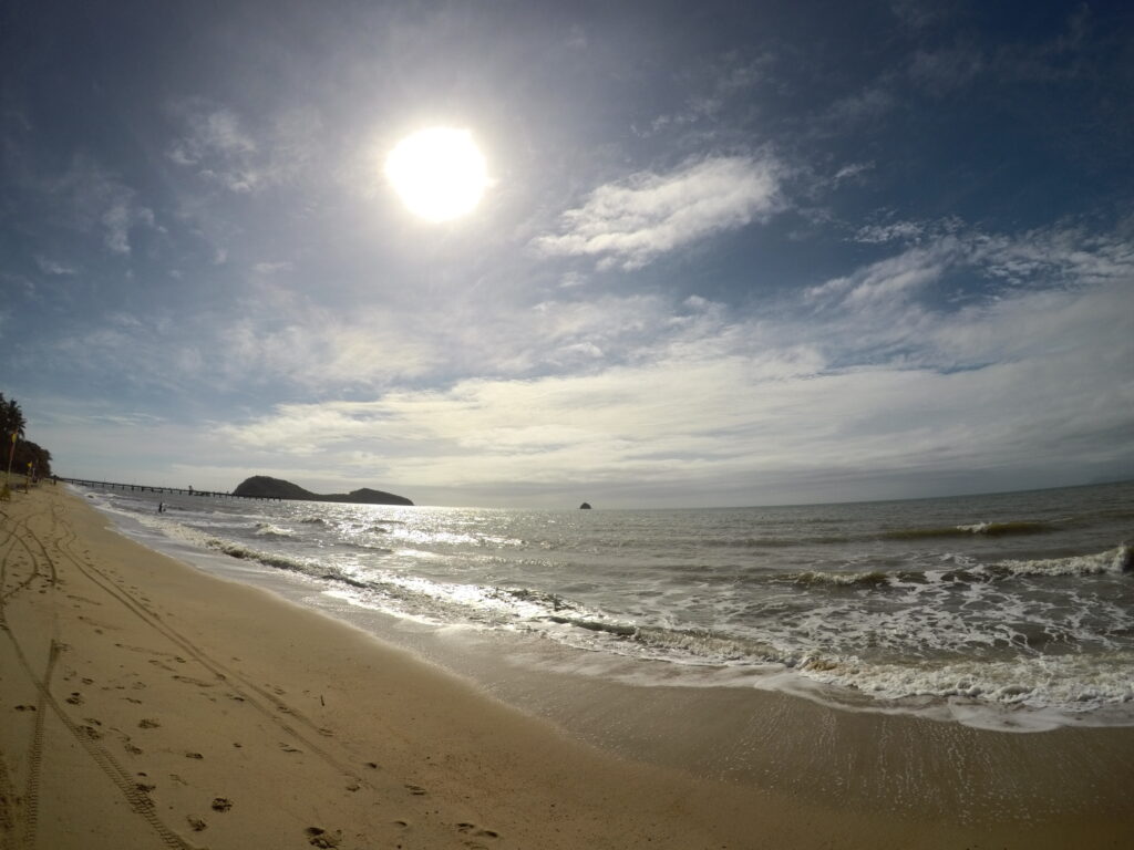 scenic view in palm cove