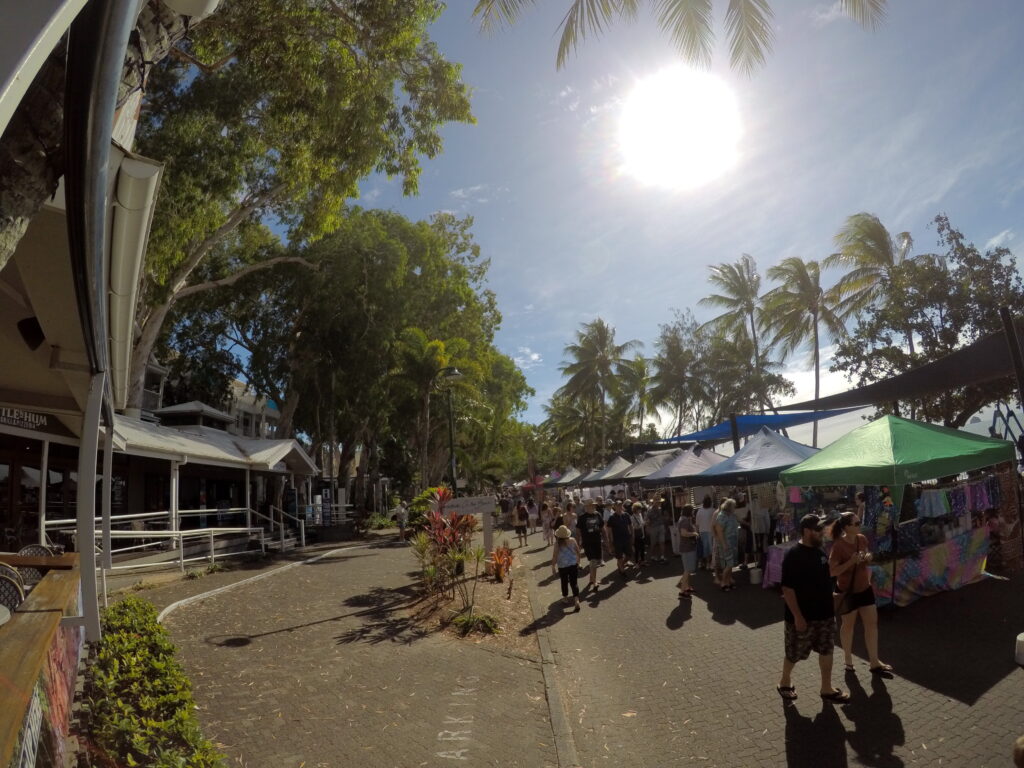 palm cove markets